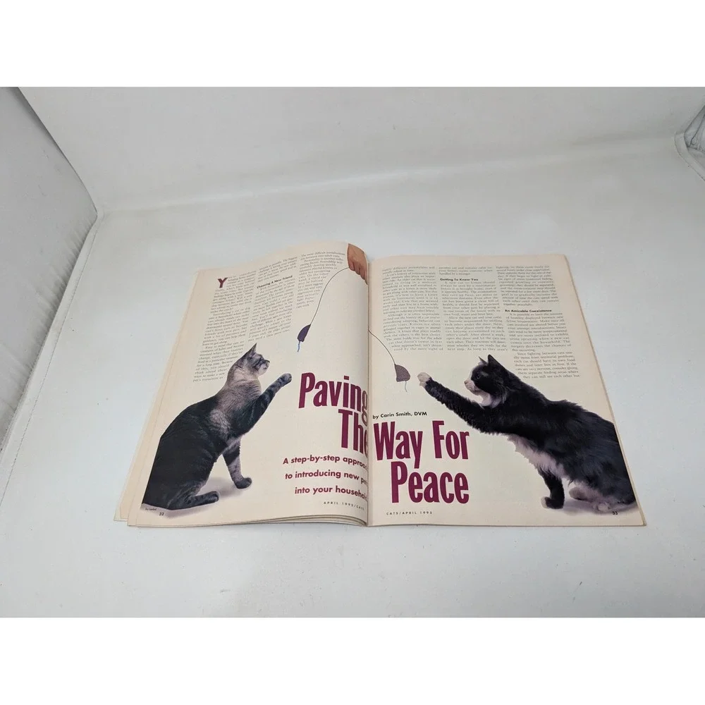Cats‎ Magazine April 1995 DeLane Matthews Vintage 1990s 90s 50h Anniversary
